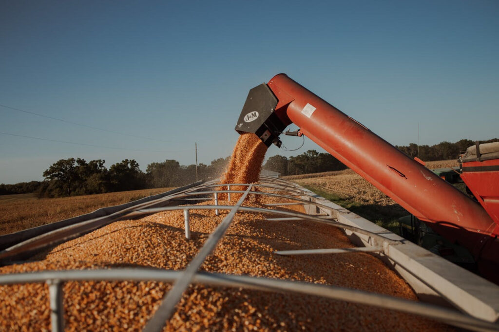 Corn Production
